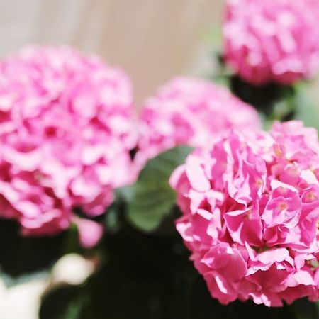 Tamarix Residence ヴィンイェラック エクステリア 写真